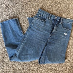 Everlane high waist Straight Leg Blue Denim Jeans